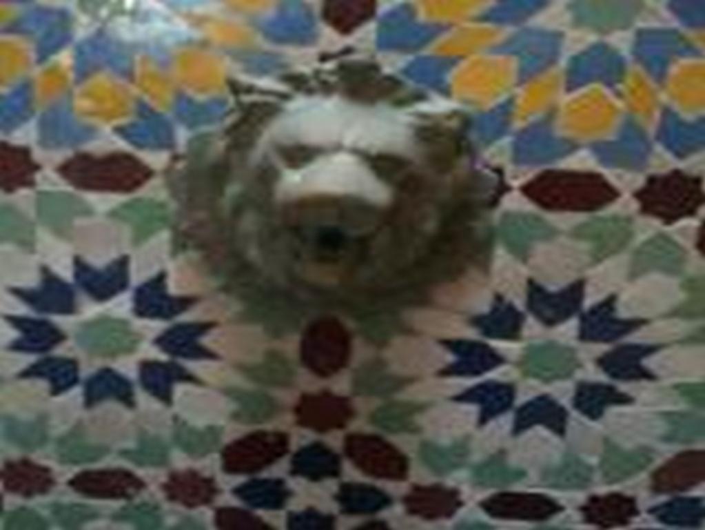 Riad Etoile D'essaouira Eksteriør billede